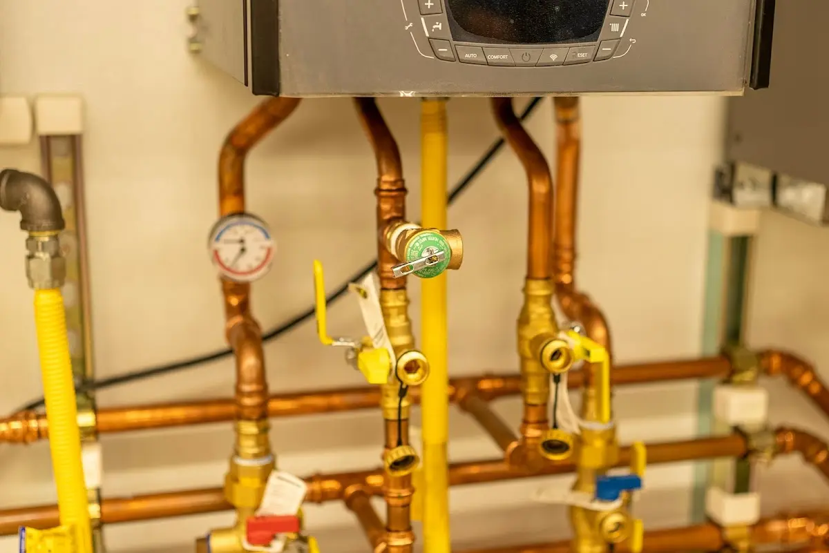 Licensed technician providing Sump Pump Repair for a homeowner in Wilson